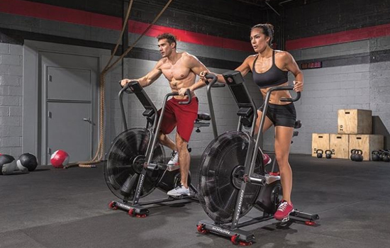 Just-in-images_scwinn-airdyne