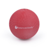 balancedbodyplaygroundball