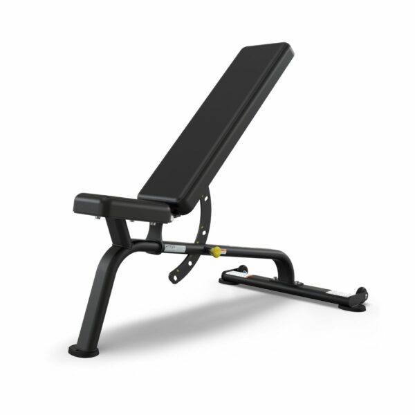 True Fitness FS-20 Flat & Incline & Decline Bench