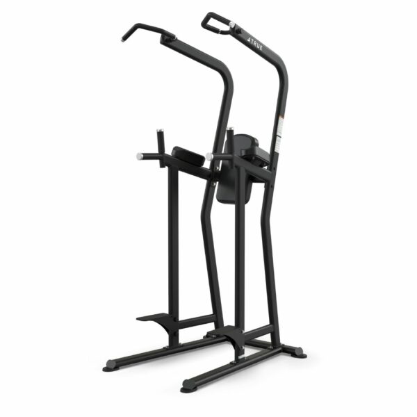 True Fitness FS-23 Knee Raise & Dip & Chin Station