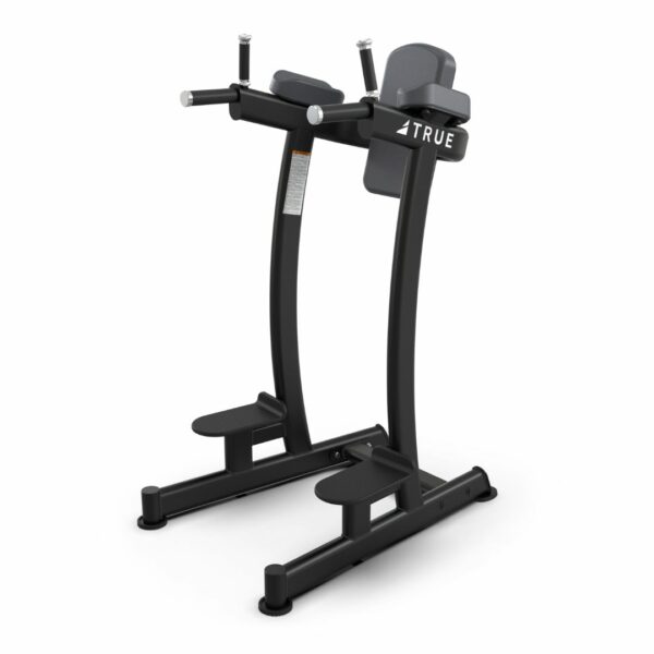 True Fitness XFW-6400 Vertical Knee Raise & Dip