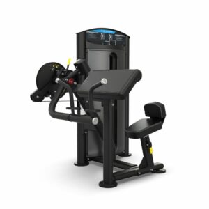 True Fitness SD-1001 Biceps/Triceps